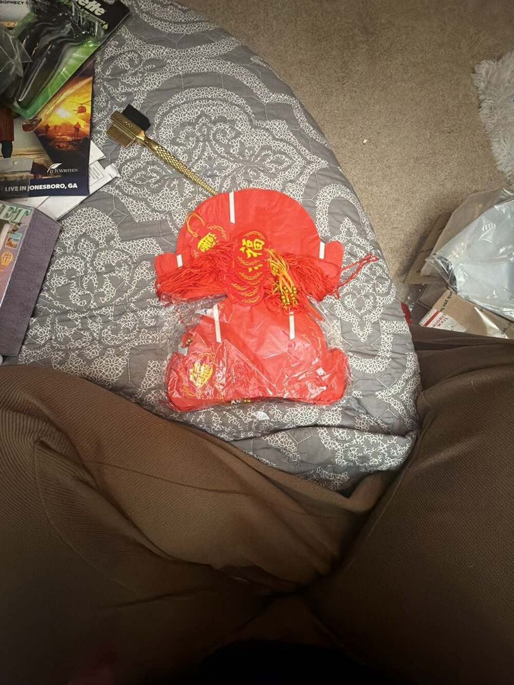 Chinese New Year Lucky Fortune Hanging Decor Red Tassels